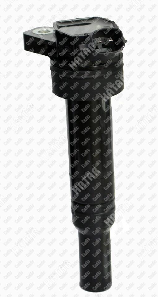 CADIC Катушка зажигания cadic KD9150