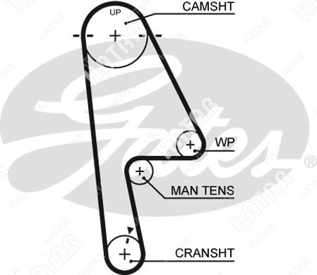 GATES Ремень грм 5529XS