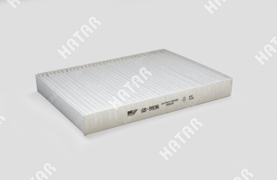 BIG FILTER Фильтр салона GB9936