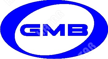 GMB Ролик 0008 GT80340